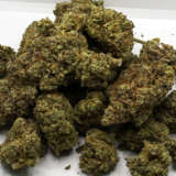 The Soap is a sativa weed strain made from a genetic cross between Animal Mints and Kush Mints. The Soap is 16% THC, making this strain an ideal choice for beginner cannabis consumers. Leafly customers tell us The Soap effects include focus, feeling energized, and arousal. Medical marijuana patients often choose The Soap when dealing with symptoms associated with stress, anxiety, and depression. Bred by Seed Junky Genetics and Berner’s Cookies, The Soap features flavors like mint, pine and cheese. The dominant terpene of this strain is limonene. The average price of The Soap typically ranges from $25-$35. If you’ve smoked, dabbed, or consumed The Soap, tell us about your experience by leaving a strain review