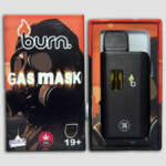 Burn Lifestyle Co. | Disposable Vape (3G) – Image 9