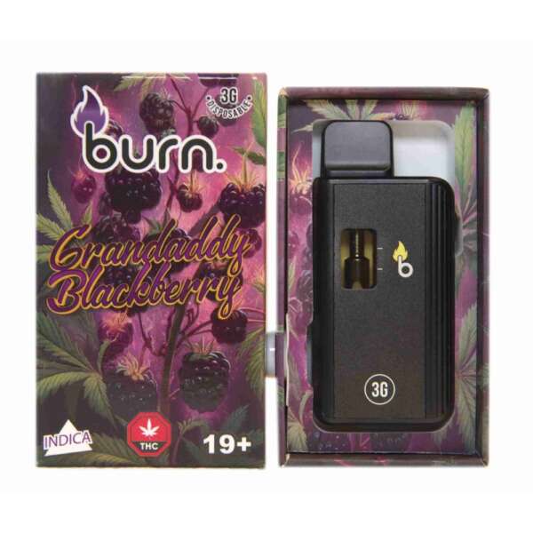 Burn Lifestyle Co. | Disposable Vape (3G) – Image 25