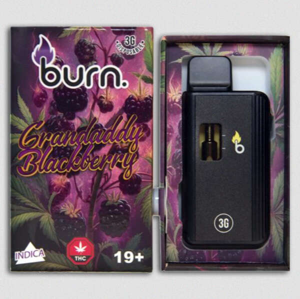 Burn Lifestyle Co. | Disposable Vape (3G) – Image 12