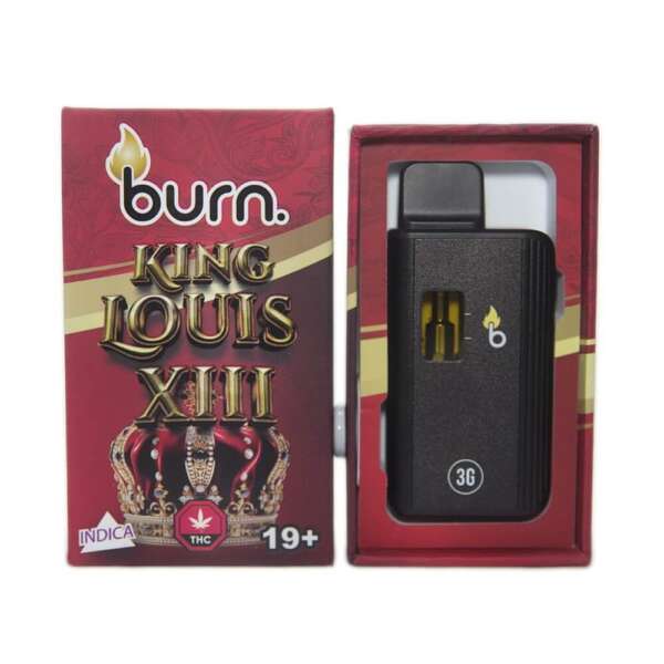Burn Lifestyle Co. | Disposable Vape (3G) – Image 24