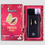 Burn Lifestyle Co. | Disposable Vape (3G) – Image 13