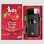 Burn Lifestyle Co. | Disposable Vape (3G) – Image 4