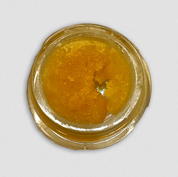 Tangie is a sativa marijuana strain made by crossing California Orange and Skunk-1. This strain is a popular choice in Amsterdam and is spreading elsewhere. Tangie is a remake of sorts of the popular version of Tangerine Dream that was sought-after in the 1990s. The citrus heritage of Tangie is the most evident in its refreshing tangerine aroma. As a plant, Tangie grows best outside, producing sticky buds that provide euphoric yet relaxed effects.