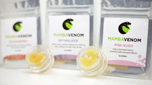 Lifted Bundle | 3G Shatter + 1G Live Resin - Image 1