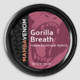 Bred by Humboldt Seed Organization, Gorilla Breath crosses Original Glue with OGKB to get a hybrid with a high resin production and a strong OG aroma. With a delicious flavor profile including notes of pine, fuel, chocolate, and diesel, you’ll surely want to try this strain.