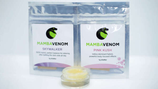 Obtenez 2 x 1G Shatter + 1G de Live Resin de votre choix, pour $85 ! Le pack lifté ultime pour ceux qui veulent les bonnes choses de la vie ;) Ce pack est destiné aux utilisateurs expérimentés uniquement ! Êtes-vous prêt à relever le défi ?