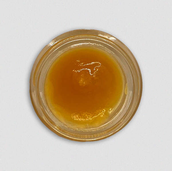 Produite par Humboldt Seed Organization, la Gorilla Breath croise l'Original Glue avec l'OGKB pour obtenir un hybride avec une production de résine élevée et un fort arôme OG. Avec un délicieux profil de saveur comprenant des notes de pin, de carburant, de chocolat et de diesel, vous aurez sûrement envie d'essayer cette variété.