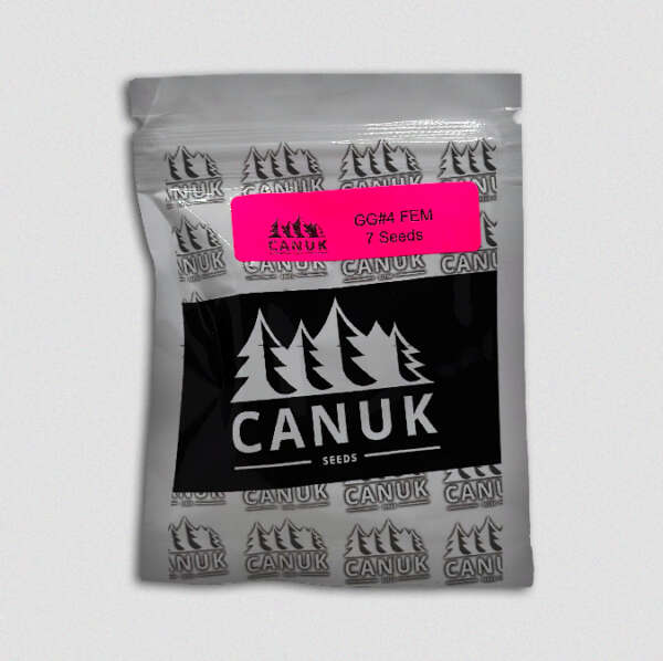 With headquarters in both the UK and Canada, Canuk Seeds brings premium cannabis varieties to cultivators across the globe. Over 100 different strains are available from Canuk Seeds. The team at Canuk Seeds believes that success comes from the right genetics. With a focus on providing reliable and consistent genetics that produces intense phenotypes and large yields, Canuk Seeds strives to provide the best quality seeds for both amature and professional growers. Max out your grow with one of Canuk Seeds varieties today! You won’t be disappointed.