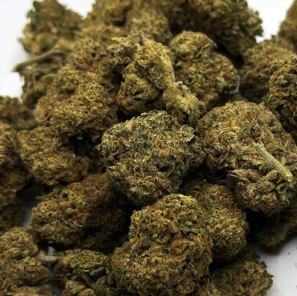 guava.jpg Enjoy the energized and motivated high of Guava, a sativa dominant hybrid strain with a sweet and creamy fruity berry flavor! This strain provides a slowly lifting sense that brings your mood to a happy euphoric high accompanied by laser-sharp focus and sociability. Guava has an average THC level of 22+%, making it ideal for treating chronic stress, nausea, fatigue, migraines, ADD/ADHD and more. With its unique sweet and sour aromas and deliciously fruity flavor, Guava is the perfect daytime strain for anyone seeking a blissful and energizing experience.
