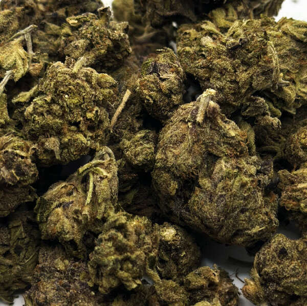 Mambabudds is your go-to destination for the highest-quality cannabis delivery in Brantford ON. Try the popular Afwreck strain, a combination of an Afghani strain and Trainwreck heredity, boasting high THC levels (more than 20%) and low CBD levels of around 1%. This potent sativa-dominant hybrid provides a powerful kick of euphoria that can help with anxiety, depression, chronic pain, muscle spasms, nausea and insomnia. Its earthy, minty and lavender flavor is accompanied by a skunky aroma of cherry bark and pine, while its dark green buds are sprinkled with dark orange strands and a thick layer of trichomes. Shop Mambabudds today to enjoy the unique experience of Afwreck.