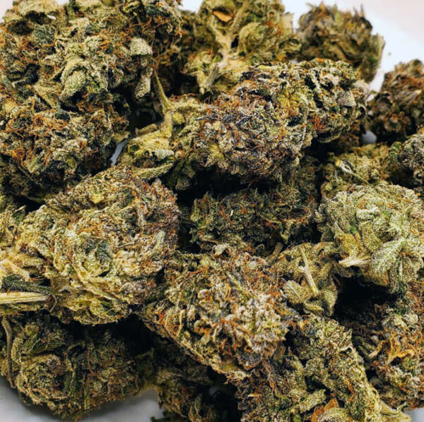 casket.jpg Immerse yourself in the luxurious experience of Pink Casket, a novel cannabis strain that is rapidly becoming the go-to choice for cannabis connoisseurs across the globe. Noted for its vibrant pink hues and exceptionally unique flavors, Pink Casket is more than just a cannabis strain - it's an all-encompassing sensory journey. A masterful blend of premium genetics, Pink Casket merges the euphoria-inducing elements of indica with the deep relaxation of Indica. The result? A truly balanced inidca strain that guides its users on a journey from invigorating cerebral elevation to sublime body relaxation. The first thing you'll notice about Pink Casket is its striking appearance. Each bud is encased in beautiful pink and purple hues, reminiscent of a vibrant sunset, and covered with a rich layer of shimmering trichomes. This strain's beauty is more than skin deep, with its captivating visuals mirroring its inner quality. As you break apart each dense nugget, a rich, gassy aroma will fill the room. Upon lighting, expect a smooth smoke accented with hints of earthy undertones. The flavors are as multifaceted as the effects, delighting the palate while calming the mind. Once inhaled, the Pink Casket's effect commences with a gentle cerebral stimulation. The initial euphoria slowly transitions into a wave of relaxation that spreads throughout your body, leaving you feeling deeply tranquil yet wonderfully aware. Its balanced nature makes it perfect for any time of the day.