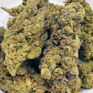 Discover the allure of Georgia Pie, a delightful blend boasting a 60% indica dominance, born from the union of Gellati and Kush Mints strains. This exotic gem, primarily found in the heart of Colorado, captivates enthusiasts with its robust structure, tantalizing flavor profile, and potent effects. Dive into a world of sweet berry bursts complemented by rich cherry and nutty undertones. Its aroma dances with hints of earthy herbs, promising a sensory delight. Feel the magic of Georgia Pie as it takes you on a journey to pure bliss within minutes. Revel in the uplifting euphoria, tinged with a gentle haze, before a soothing sensation embraces your body. As the calm washes over you, don't be surprised if you find yourself with a hearty appetite. Given its impressive THC content of 25-27% and CBD levels of 1-3%, many turn to Georgia Pie to alleviate chronic stress, depression, appetite irregularities, and insomnia. Visually, this strain is a work of art. Behold the compact, popcorn-shaped green nugs, adorned with hues of purple, delicate amber strands, and a shimmer of frosty purple-tinged trichomes. Dive in and discover the magic of Georgia Pie!