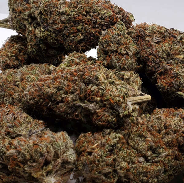 pink-berrry.jpg Pink Berry is a unique indica dominant hybrid strain resulting from a cross between Pink Champagne and Blackberry strains. The flavor resembles a sweet and fruity mix, akin to berry-flavored frozen yogurt. Its aroma combines creamy kush, rich florals, and sweet berry. The high is relaxing and introspective without being energetic, often leading to deep relaxation and potential sleepiness. It has a moderate THC level (14-16%) and a high CBD content (5-6%), making it a good option for medicinal use, especially for conditions like chronic pain, depression, inflammation, and chronic fatigue. The physical appearance is marked by round light minty green buds with pink undertones and a coating of clear crystal hairs and trichomes.