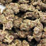 Chemdawg, or Chemdog, is a balanced strain with a 45/55 sativa to indica ratio, offering both cerebral stimulation and physical relaxation. It boosts creativity and helps with insomnia while relaxing muscles. With THC levels reaching 19%, it's relatively potent, characterized by a strong spicy, plant-like taste and diesel undertone that might give away its presence. It's notably used to create the famous Sour Diesel strain. Despite its popularity, Chemdawg's origins remain mysterious, with rumors linking it to a Grateful Dead concert and a grower named Chemdog. It's effective for anxiety, pain, depression, ADHD, migraines, arthritis, and PMS, although it may cause dry mouth and eyes. Primarily found on the West Coast, in Nevada, and Colorado, it's occasionally available on the black market, albeit rarely.