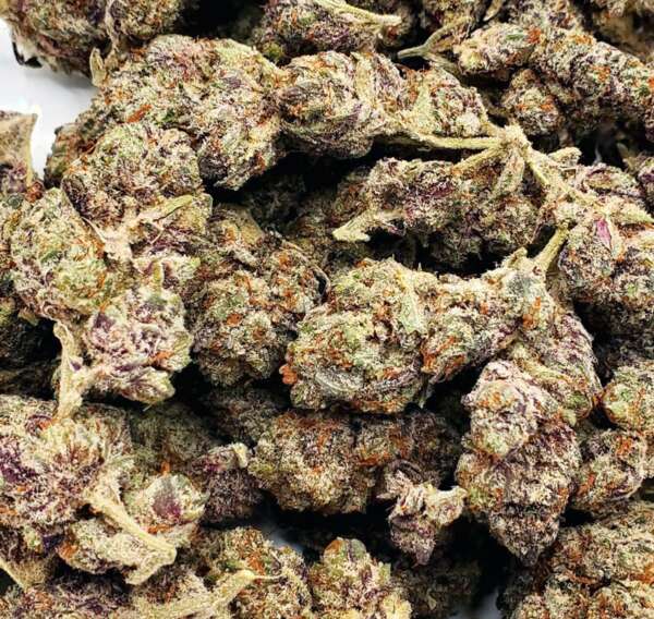 bruce.jpg Chemdawg, or Chemdog, is a balanced strain with a 45/55 sativa to indica ratio, offering both cerebral stimulation and physical relaxation. It boosts creativity and helps with insomnia while relaxing muscles. With THC levels reaching 19%, it's relatively potent, characterized by a strong spicy, plant-like taste and diesel undertone that might give away its presence. It's notably used to create the famous Sour Diesel strain. Despite its popularity, Chemdawg's origins remain mysterious, with rumors linking it to a Grateful Dead concert and a grower named Chemdog. It's effective for anxiety, pain, depression, ADHD, migraines, arthritis, and PMS, although it may cause dry mouth and eyes. Primarily found on the West Coast, in Nevada, and Colorado, it's occasionally available on the black market, albeit rarely.
