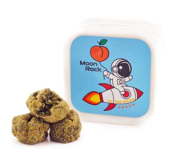 To The Moon | Moon Rocks (1G) – Image 5