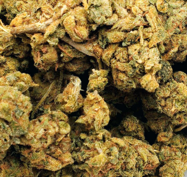 pokemon-memes-copie-1.jpg Apricot Kush (AAA) – Image 1