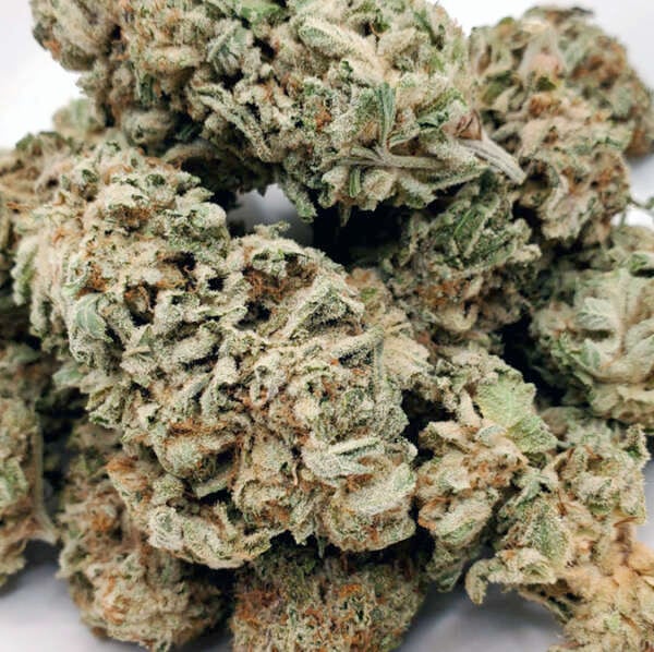 Park Fire OG, an indica-dominant hybrid descending from OG Kush and SFG OG, boasts a striking appearance with forest-green leaves, purple tinges, fiery red pistils, and a silver kief coating. Contrary to its fiery look, it offers a sweet and skunky flavor with a citrusy, sour candy aroma. This strain has an intense THC content of 30-35%, leading to a potent high that starts with a euphoric head buzz and transitions into a deep body relaxation. Ideal for experienced users, it's effective for insomnia, anxiety, and stress, but beginners should approach with caution due to its powerful effects.