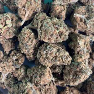 durban poison sativa hybrid flower