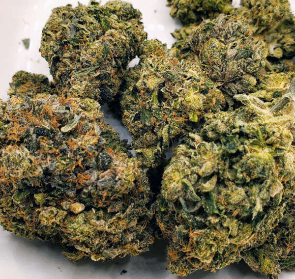 Looking for a high-potency indica strain? Try Pink Rockstar from Mambabudds! This indica dominant hybrid (70% indica/30% sativa) is a cross between Pink Kush and Rockstar Kush, resulting in a gorgeous appearance and potent effects. Its minty green nugs have bright pink undertones, orange hairs, and a coating of pink-tinted white crystal trichomes. The aroma is a mix of sweet woods and spicy flowers with a pungent diesel overtone. The flavor is spicy and flowery with fresh wood and earth notes. The Pink Rockstar high is deeply relaxing, like a warm, soothing blanket for the mind. It can induce couchlock and sleepiness, making it a great choice for insomnia, chronic stress or PTSD, chronic pain, and anxiety. Pink Rockstar has an average THC level of 19-20%, making it a potent choice for indica lovers. Mambabudds is a cannabis delivery service located in Brantford ON, and we'll bring it straight to your door.