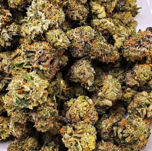 tommy.jpg Tom Ford Pink Kush Smalls (AAAA) - Image 1
