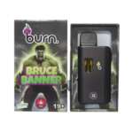 Burn Lifestyle Co. | Disposable Vape (3G) – Image 17