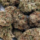 Bubble Gum (AAA+)