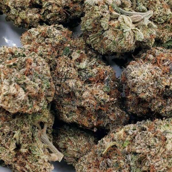 Bubble Gum (AAA+) – Image 1
