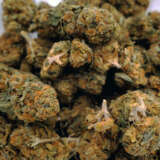 Rock Bud (AA+)