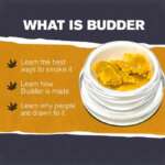 Mamba Venom  Budder Wax - Image 2