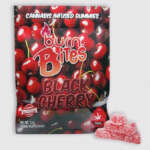 Burn Bites (500MG) **Extra Strength** - Image 3