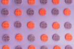 Encore - Gummies (600mg) - Image 14