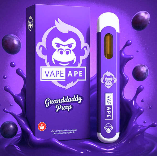 Vape Ape 2G BluerasberryVape Ape 2G Grandaddy Purple VAPE APE | Premium Disposable THC Vape (2G) - Image 1