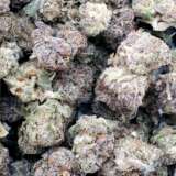 Blackberry Cream (AAA+)