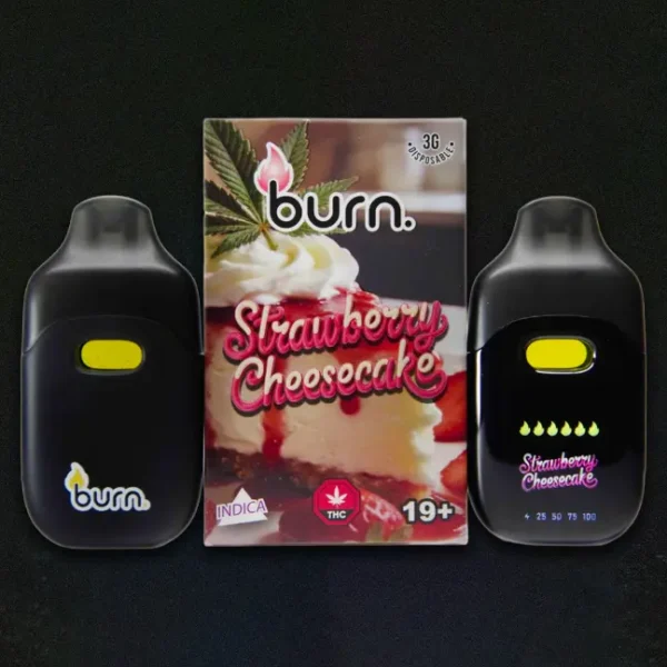 Burn Co. 3g Vapes Assorted ***LCD** - Image 1