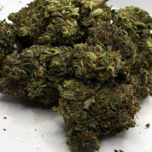 Introducing Dutch Pink, a unique and potent cannabis strain from the Netherlands. This indica-dominant hybrid features an alluring pink hue that is sure to draw your eye. With genetics stemming from two well-known strains, Dutch Treat and Pink Kush, this flower has a complex flavor profile with hints of sweet berry and earthy pine. Expect strong physical effects that will relax your body while calming your mind. Enjoy Dutch Pink when you need relief from stress or pain without getting too sleepy – perfect for daytime use!