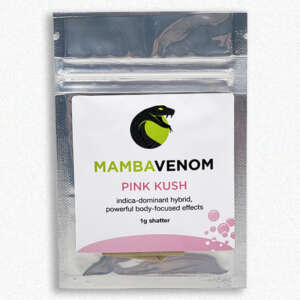 Pink Kush, as coveted as its OG Kush relative, is an indica-dominant hybrid with powerful body-focused effects. In its exceptional variations, pink hairs burst from bright green buds barely visible under a blanket of sugar-like trichomes, with traces of a sweet vanilla and candy perfume. The potency of this strain could be considered overpowering, and even small doses are known to eliminate pain, insomnia, and appetite loss. Growers have to wait 10 to 11 weeks for Pink Kush’s flowering, but high yields of top-shelf buds are worth the wait.