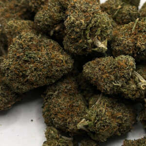 Black Runtz is an indica-dominant hybrid created by Big Boss Farms in British Columbia, Canada. It’s a cross of Black Diamond Sherbert and Runtz. Other versions of this strain include a phenotype of the original Runtz. The top reported aromas of Black Runtz are citrus, sugar, and mint. And it is said to taste similar.