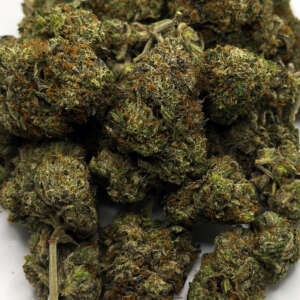 Looking for a high-potency indica strain? Try Pink Rockstar from Mambabudds! This indica dominant hybrid (70% indica/30% sativa) is a cross between Pink Kush and Rockstar Kush, resulting in a gorgeous appearance and potent effects. Its minty green nugs have bright pink undertones, orange hairs, and a coating of pink-tinted white crystal trichomes. The aroma is a mix of sweet woods and spicy flowers with a pungent diesel overtone. The flavor is spicy and flowery with fresh wood and earth notes. The Pink Rockstar high is deeply relaxing, like a warm, soothing blanket for the mind. It can induce couchlock and sleepiness, making it a great choice for insomnia, chronic stress or PTSD, chronic pain, and anxiety. Pink Rockstar has an average THC level of 19-20%, making it a potent choice for indica lovers. Mambabudds is a cannabis delivery service located in Brantford ON, and we'll bring it straight to your door.