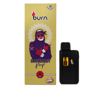 Burn Lifestyle Co Vape is the perfect choice for anyone looking to experience the best in vaping. This distillate vape contains a potent blend of Delta 9 THC, offering users an intense and long-lasting high that can be enjoyed anywhere. The convenient size makes it easy to carry around with you and enjoy on your own or with friends. Plus, the sleek design looks great wherever you go! With Burn Lifestyle Co's Vape, you'll get a clean and powerful hit every time for an unforgettable experience.