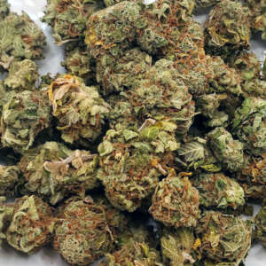 "Introducing Frozen Cherry, a captivating hybrid cannabis strain born from the genetic fusion of undisclosed parent strains. This remarkable strain presents a captivating symphony of flavors, combining the icy coolness of cherries with a touch of sweetness that lingers on the palate. With a balanced THC profile, Frozen Cherry offers a well-rounded experience suitable for both novice and seasoned users. Consumers have reported feelings of euphoria, relaxation, and a subtle uplift in mood after enjoying this strain.