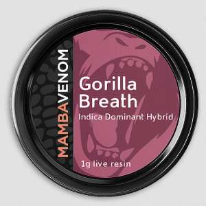 Bred by Humboldt Seed Organization, Gorilla Breath crosses Original Glue with OGKB to get a hybrid with a high resin production and a strong OG aroma. With a delicious flavor profile including notes of pine, fuel, chocolate, and diesel, you’ll surely want to try this strain.