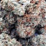 Sunset Sherbert (AAA+)