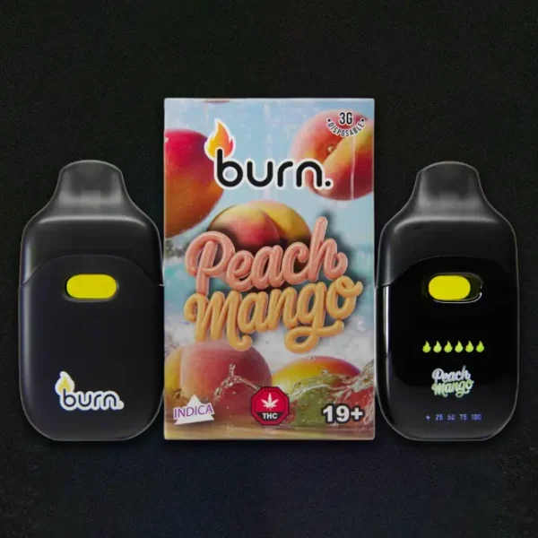Burn Co. 3g Vapes Assorted ***LCD** - Image 3