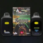 Burn Co. 3g Vapes Assorted ***LCD** - Image 2