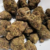Cherry Kush (AAA)
