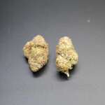 Skittlez (AAA+) - Image 2