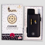 Burn Lifestyle Co. | Disposable Vape (3G) - Image 2