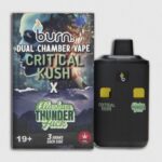 Burn Co. | Dual Chamber Disposable Vapes (6G) - Image 2